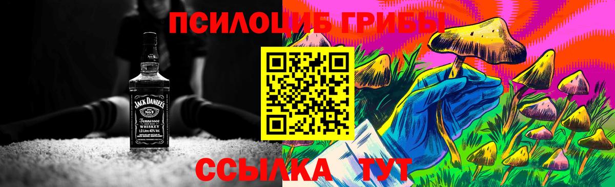Галлюциногенные грибы Cubensis  Вход с VPN  Псилоцибиновые грибы мицелий  Рассказово 